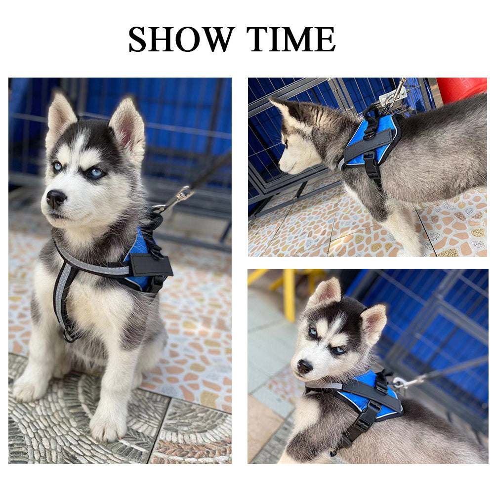 Durable & Elegant Pet Chest Harness - For Service & Style