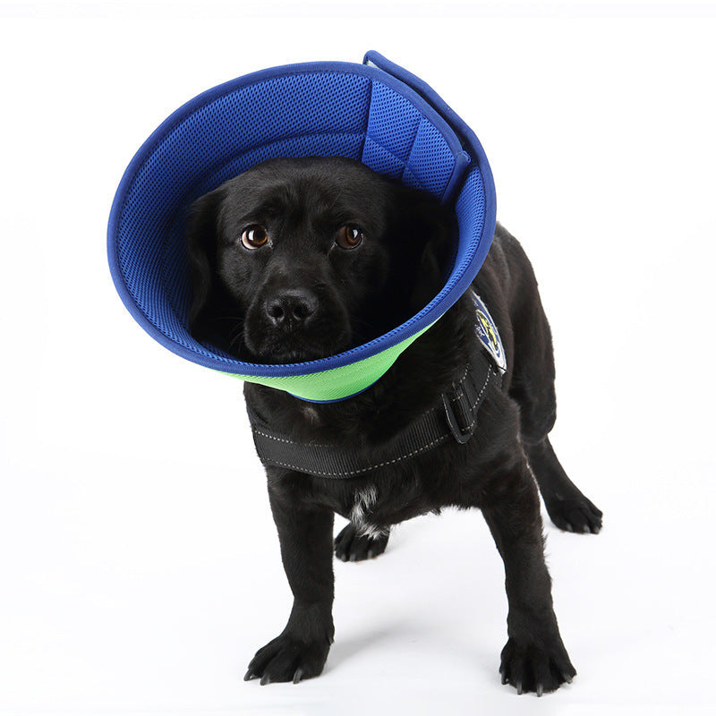 Pet Recovery Collar - Transparent Dog & Cat Anti-Bite Elizabethan Cone