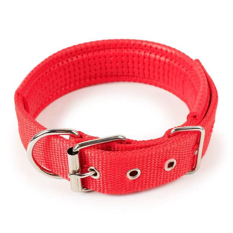 Durable Nylon Dog Collar – Adjustable Collar for Small to XXL Dogs, Lightweight & Comfortable Everyday Use