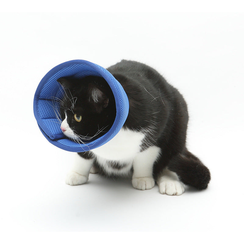 Pet Recovery Collar - Transparent Dog & Cat Anti-Bite Elizabethan Cone