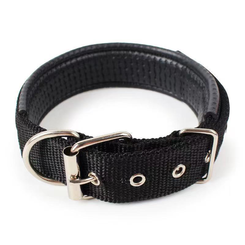 Durable Nylon Dog Collar – Adjustable Collar for Small to XXL Dogs, Lightweight & Comfortable Everyday Use