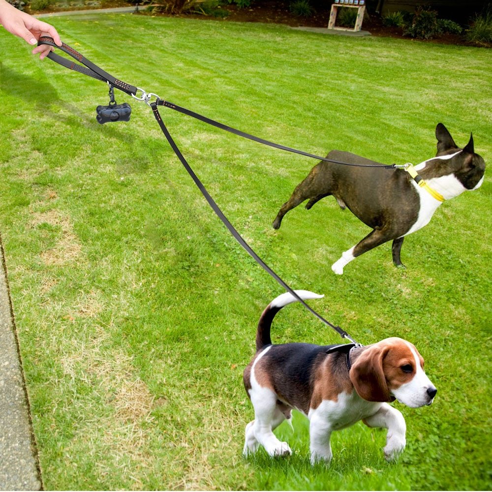Premium 2-Way Leather Dog Leash - Tangle-Free Control for Two Dogs