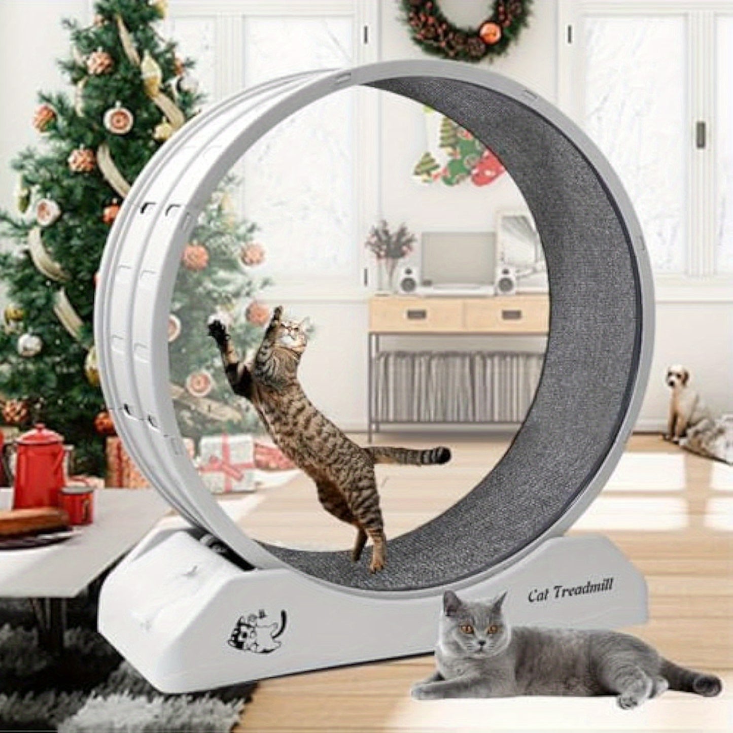 Silent Cat Exercise Wheel – XL Non-Electric Indoor Treadmill - TailAura