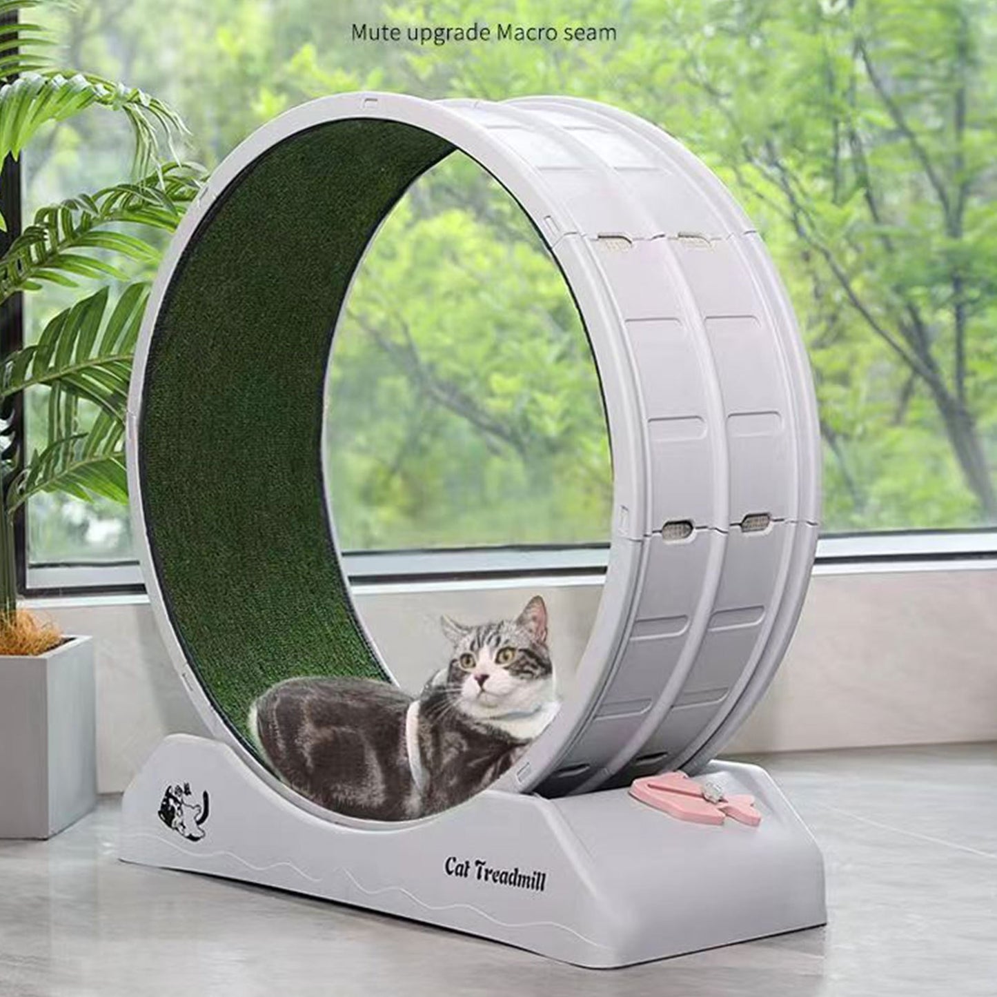 Silent Cat Exercise Wheel – XL Non-Electric Indoor Treadmill - TailAura