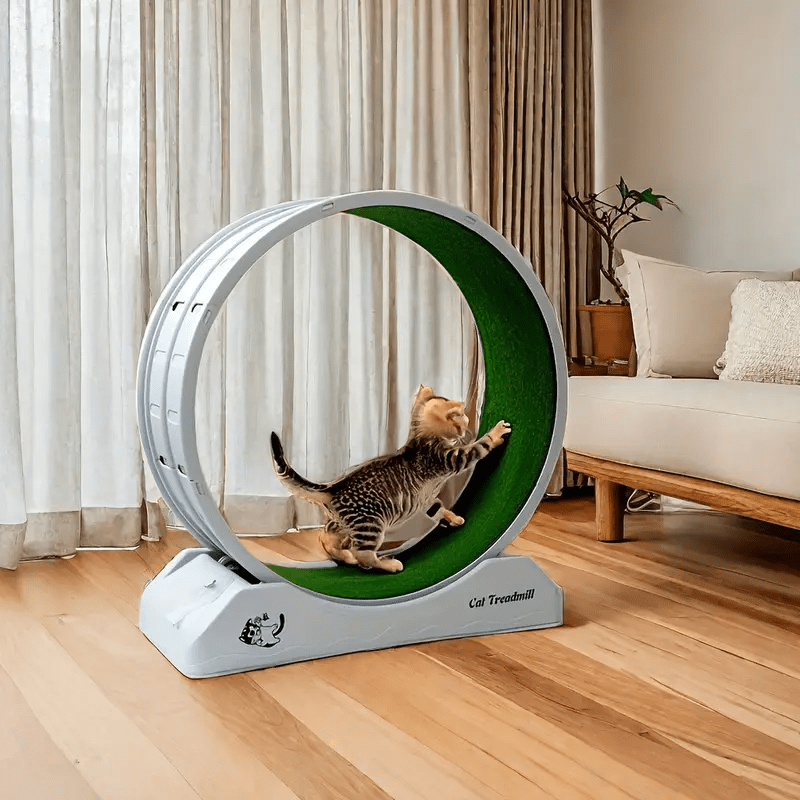 Silent Cat Exercise Wheel – XL Non-Electric Indoor Treadmill - TailAura