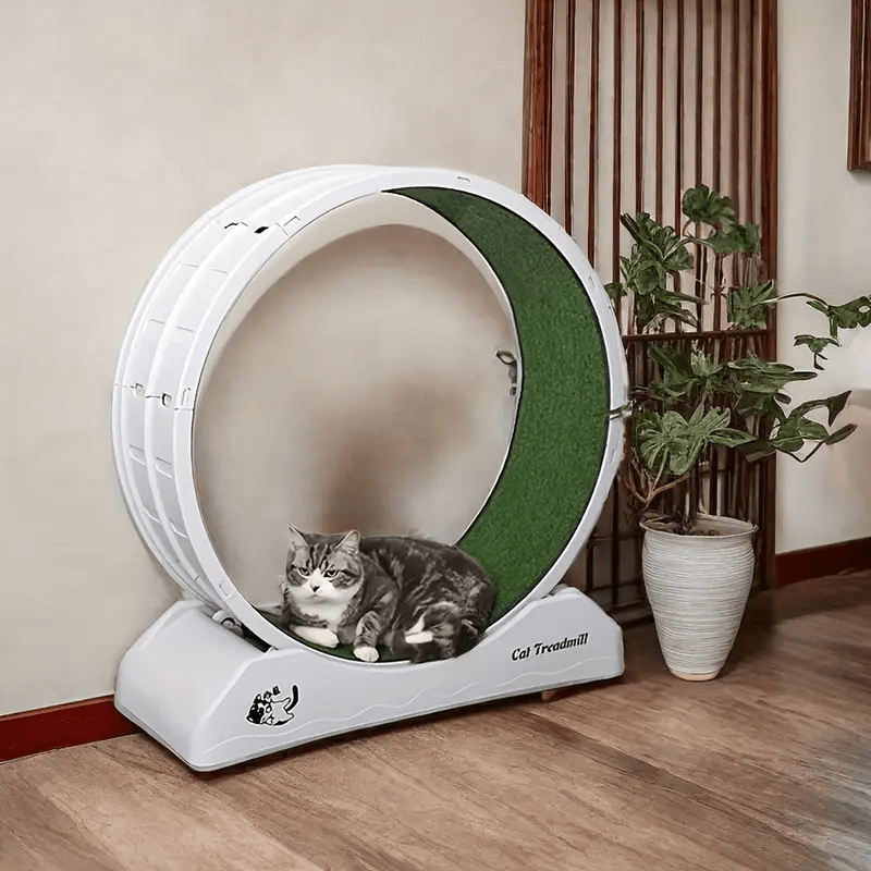 Silent Cat Exercise Wheel – XL Non-Electric Indoor Treadmill - TailAura