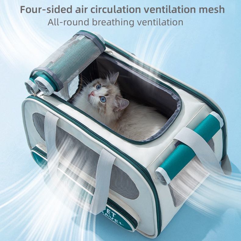 Airline Approved Pet Travel Carrier Bag - Soft-Sided, Collapsible for Dogs & Cats - TailAura