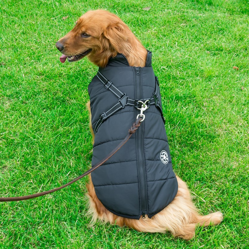 Cotton Dog Clothes Chest Back Integrated Vest – Waterproof, Washable, Comfortable for All Breeds - TailAura