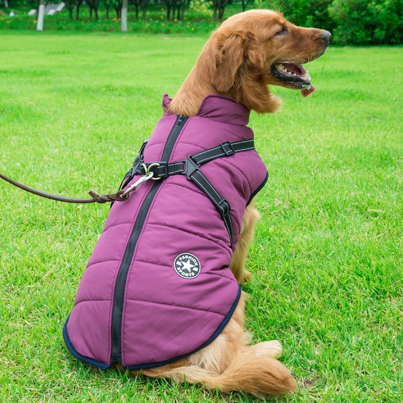Cotton Dog Clothes Chest Back Integrated Vest – Waterproof, Washable, Comfortable for All Breeds - TailAura