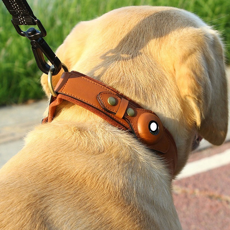 Premium Leather Dog Collar with Location Tracker Holder – Adjustable Pet Collar for Small, Medium & Large Dogs - TailAura