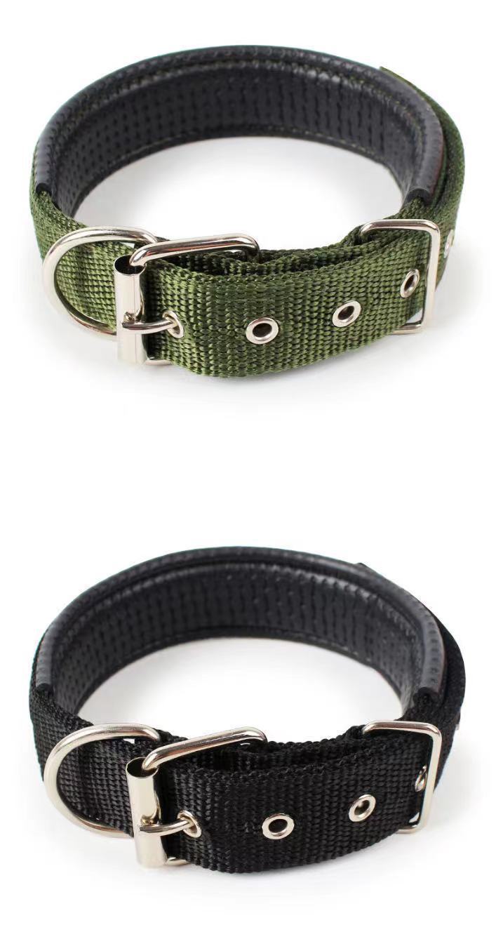 Durable Nylon Dog Collar – Adjustable Collar for Small to XXL Dogs, Lightweight & Comfortable Everyday Use - TailAura