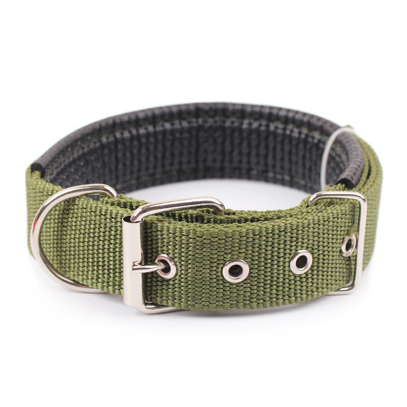 Durable Nylon Dog Collar – Adjustable Collar for Small to XXL Dogs, Lightweight & Comfortable Everyday Use - TailAura