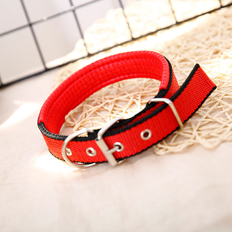 Durable Nylon Dog Collar – Adjustable Collar for Small to XXL Dogs, Lightweight & Comfortable Everyday Use - TailAura
