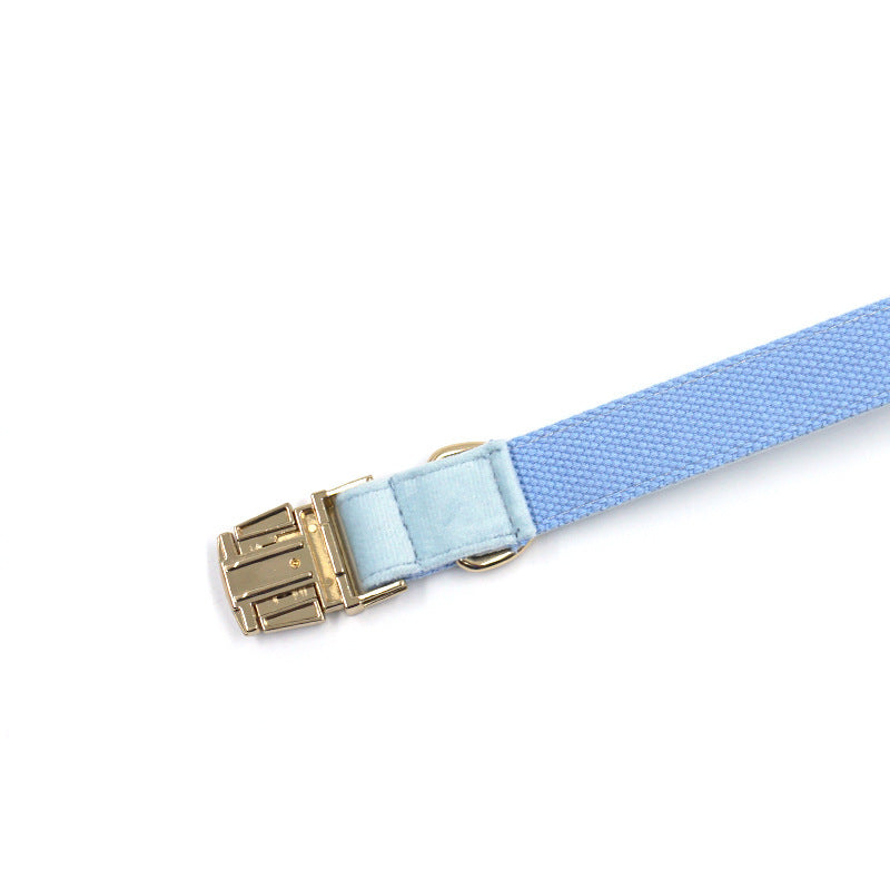 Sky Blue Velvet Gold Collar & Leash Set – Stylish Pet Collar with Matching Leash for Small to Large Dogs - TailAura