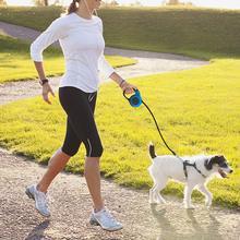 Automatic Retractable Dog Leash – Dual Size Options with Brake & Lock Safety System - TailAura