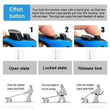 Automatic Retractable Dog Leash – Dual Size Options with Brake & Lock Safety System - TailAura