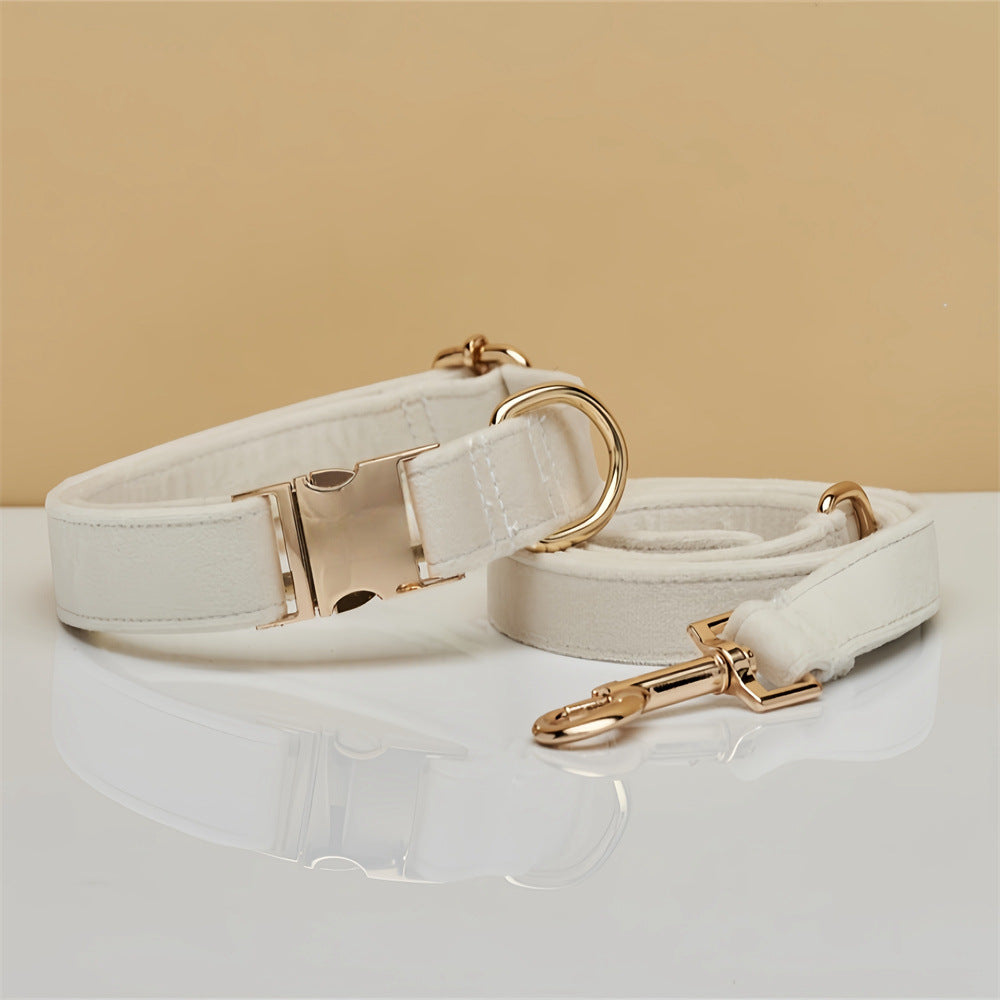 Solid Colour Pet Collar & Leash Set – Simple Polyester Dog Collar with Matching Lead for Everyday Walks - TailAura