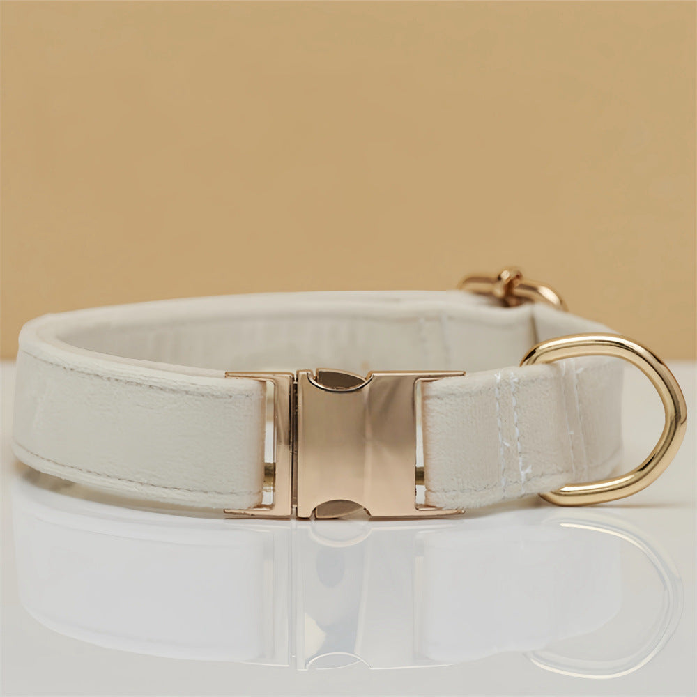 Solid Colour Pet Collar & Leash Set – Simple Polyester Dog Collar with Matching Lead for Everyday Walks - TailAura