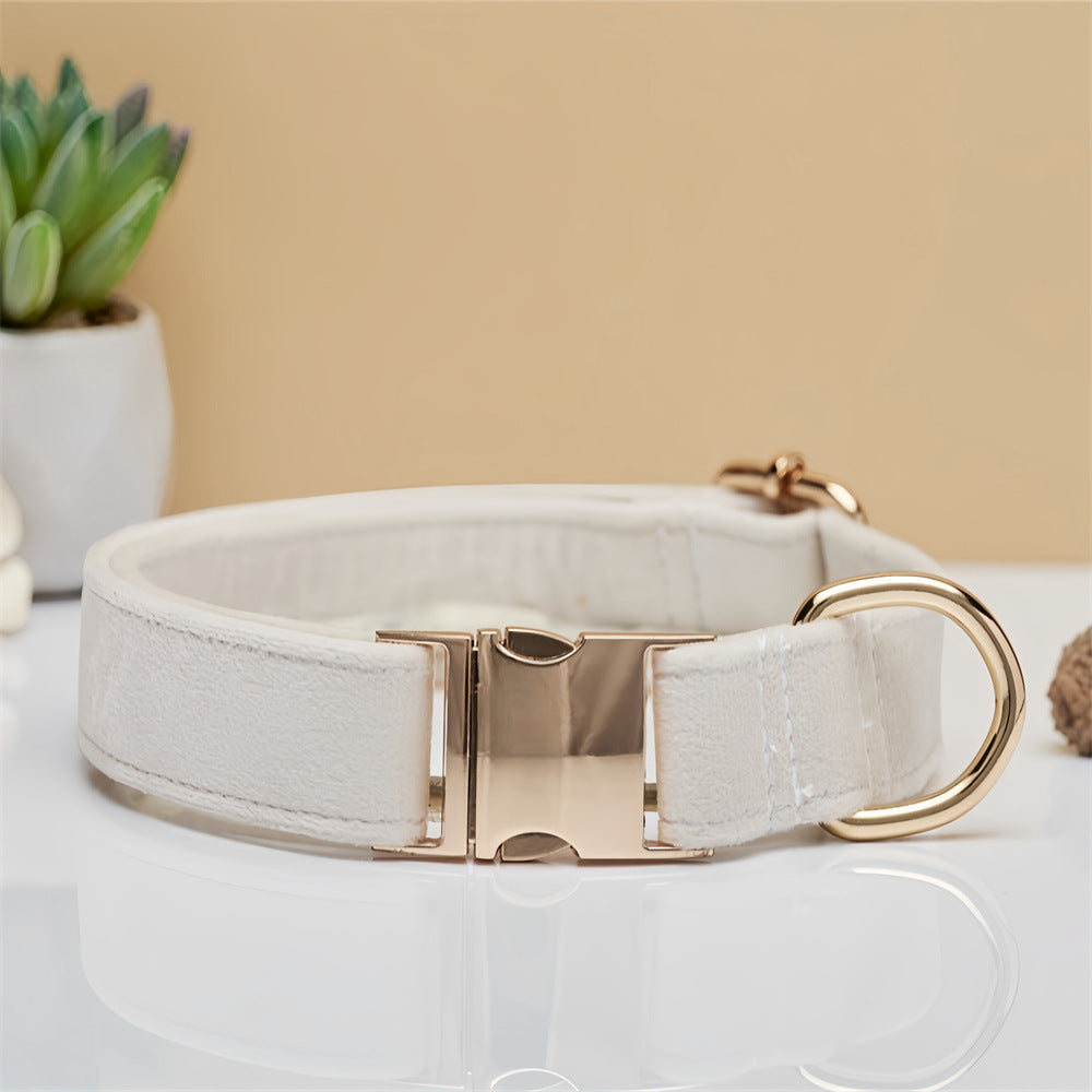 Solid Colour Pet Collar & Leash Set – Simple Polyester Dog Collar with Matching Lead for Everyday Walks - TailAura