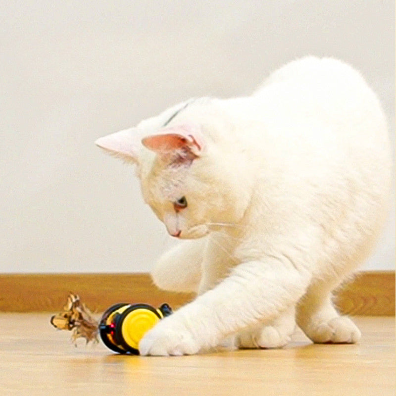 Electric Bee Cat Toy Interactive Moving Car with Feather Teaser - TailAura