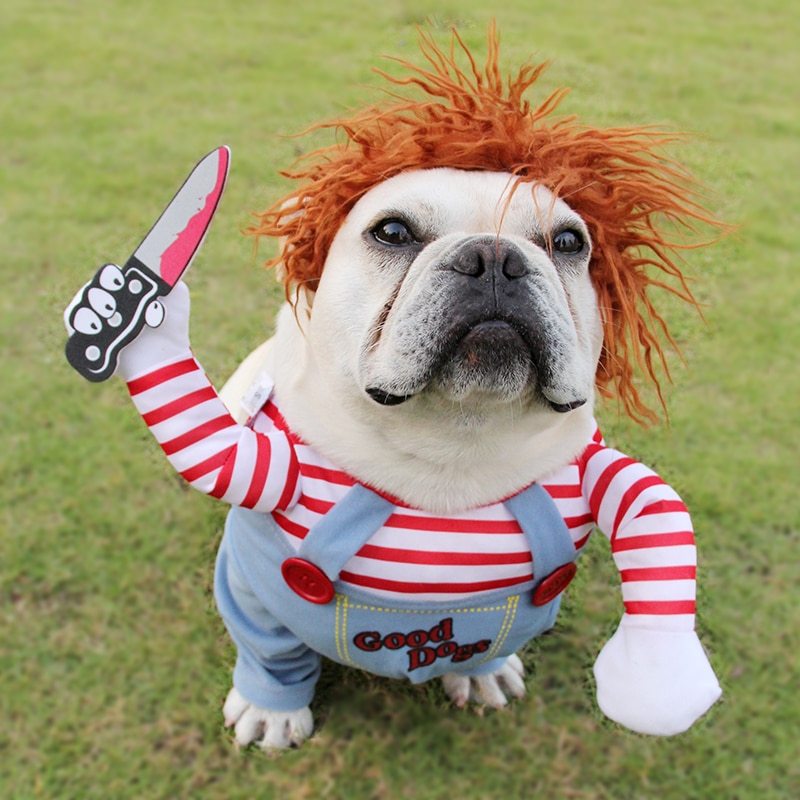 Halloween Pet Costume – Adjustable Dog Cosplay Costume with Wig and Foam Knife – Perfect for Parties and Gatherings - TailAura