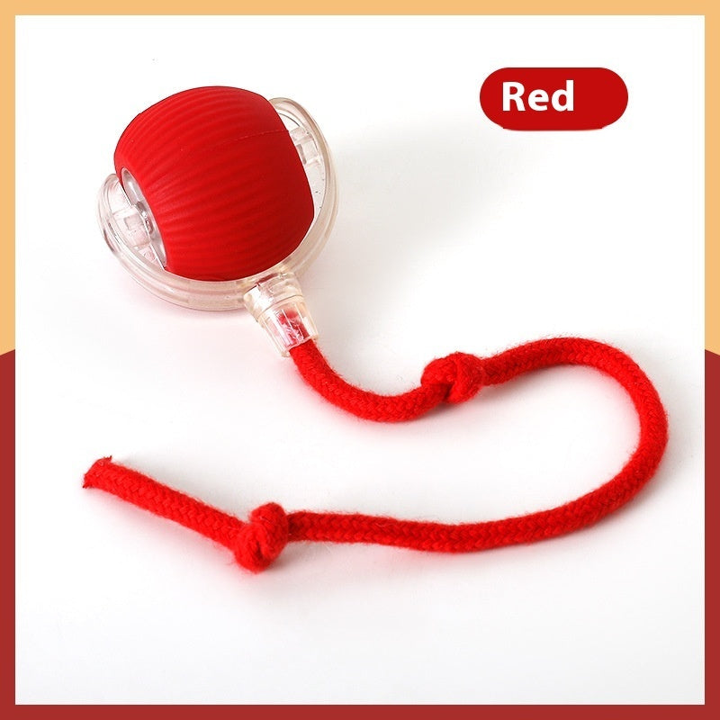 Interactive Cat Toy Ball – Motion-Activated Rolling Toy with Chirping Sounds - TailAura