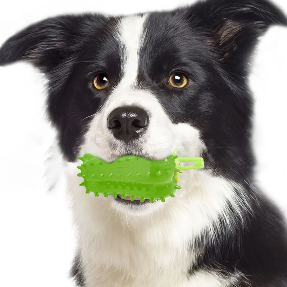 Interactive Chili Chew Dog Toy Durable Teething & Treat Dispensing Fun - TailAura