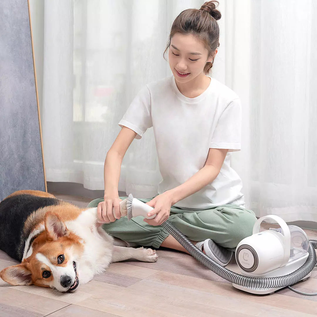 Professional Pet Grooming Kit: Salon-Quality Results at Home - TailAura
