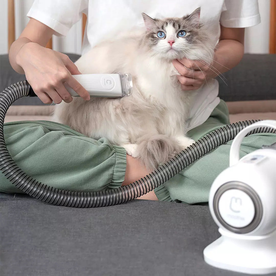 Professional Pet Grooming Kit: Salon-Quality Results at Home - TailAura