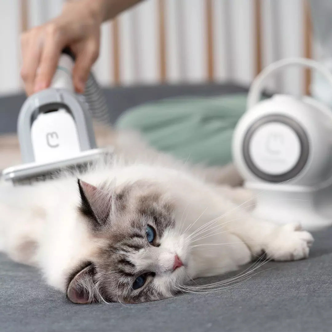 Professional Pet Grooming Kit: Salon-Quality Results at Home - TailAura
