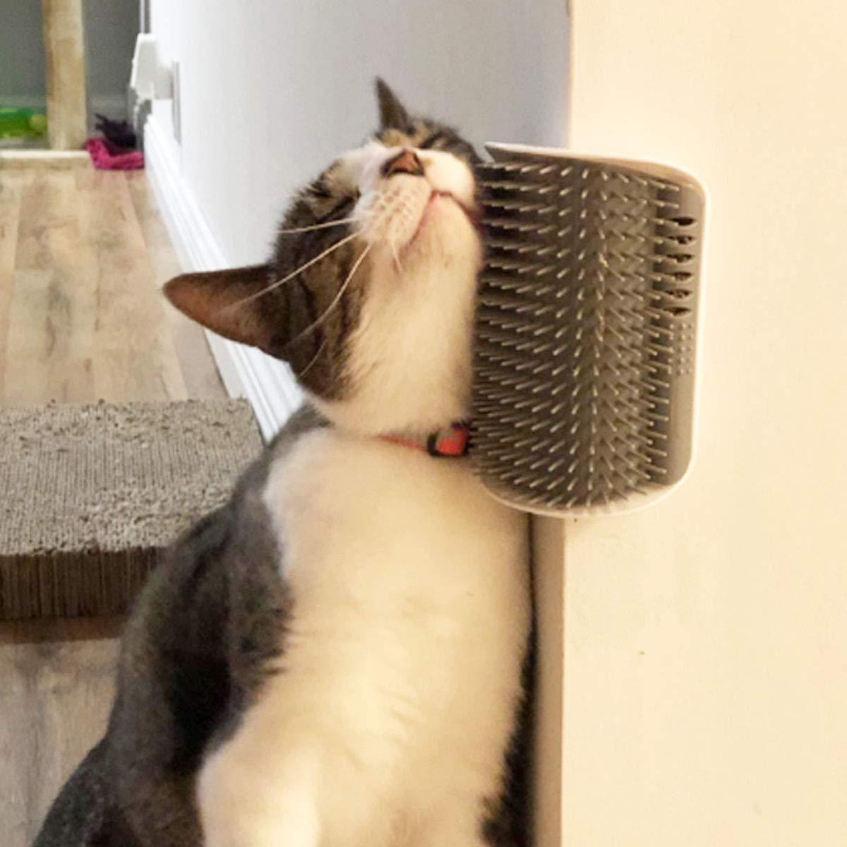 4-Pack Pet Self-Grooming Corner Brush - Gentle Massager for Cats & Dogs - TailAura