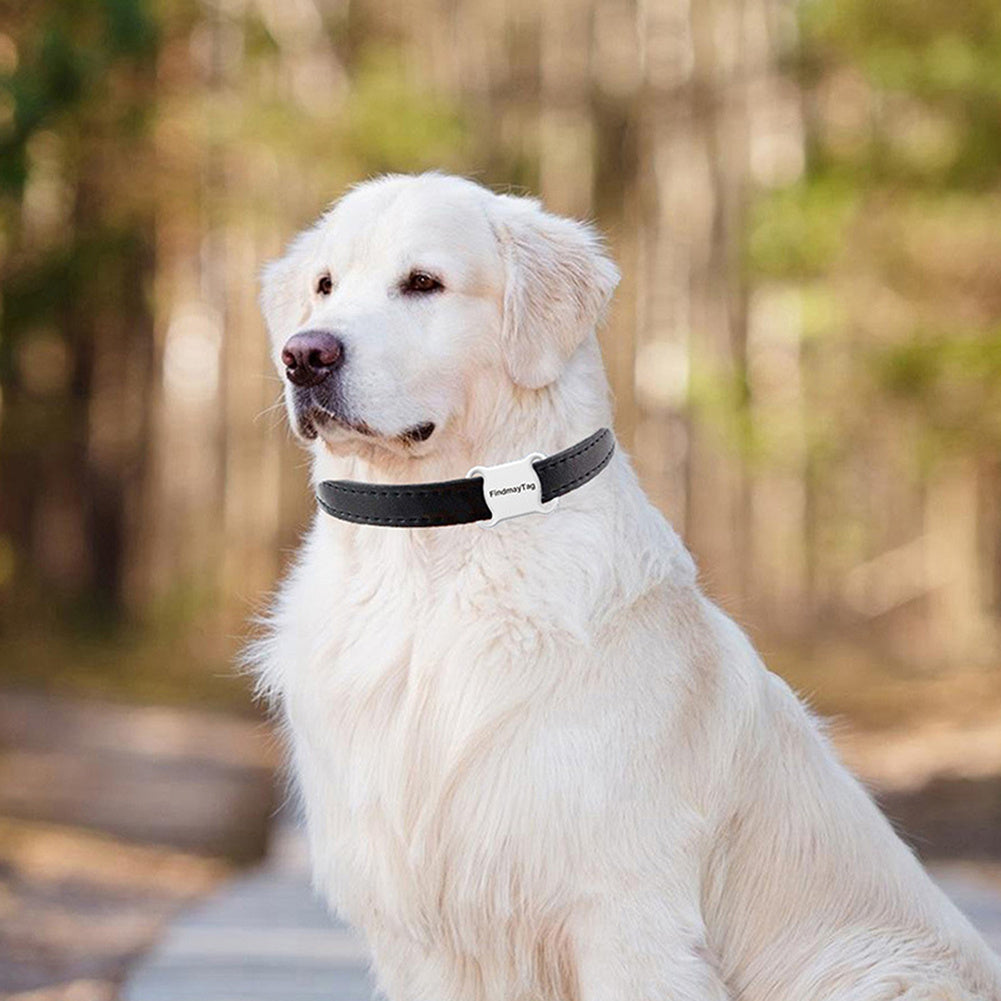 Smart GPS Pet Locator for Cats & Dogs - Compact & Lightweight (White/Black) - TailAura