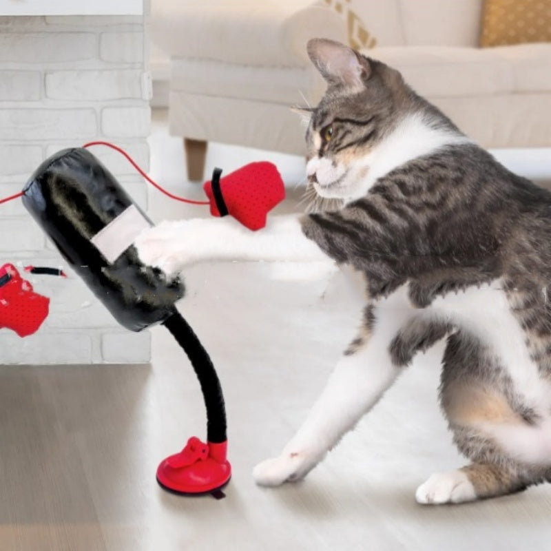 Interactive Cat Boxing Game Toy – Silicone Teaser for Active Play and Mental Stimulation - TailAura