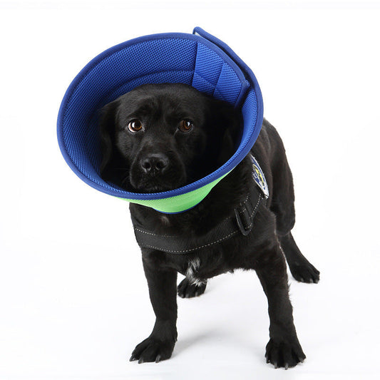 Pet Recovery Collar - Transparent Dog & Cat Anti-Bite Elizabethan Cone