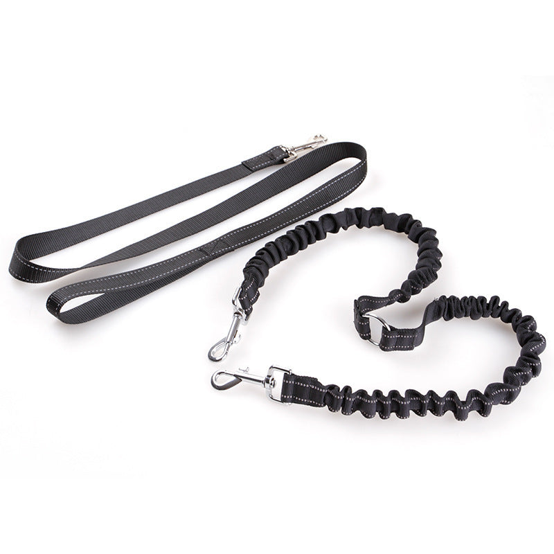 Double-Headed Retractable Dog Leash