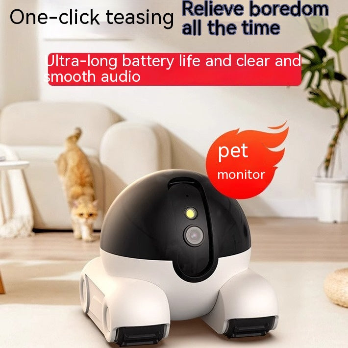 Wireless Pet Camera – Remote Monitoring with Night Vision & Built-in Microphone - TailAura - Wireless Pet Surveillance Camera -  My Store