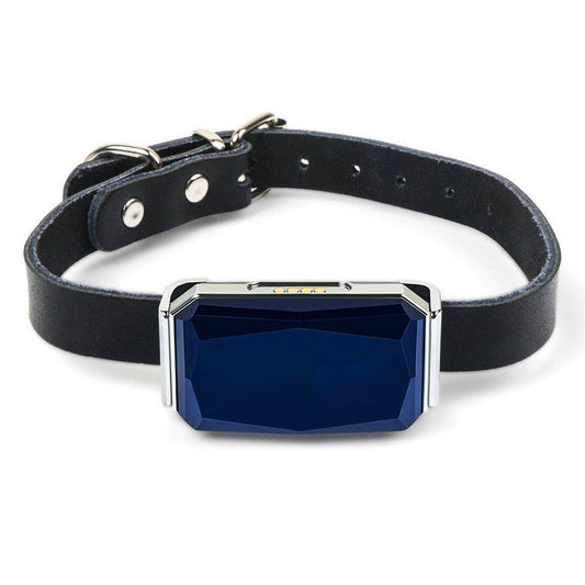 Personal GPS Locator with Geofence, Voice Monitoring & Remote Control