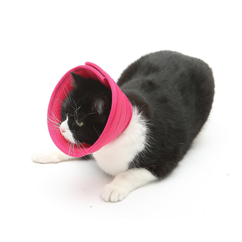 Pet Recovery Collar - Transparent Dog & Cat Anti-Bite Elizabethan Cone