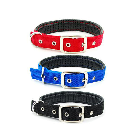 Nylon Dog Collar – Medium to Extra Large Sizes