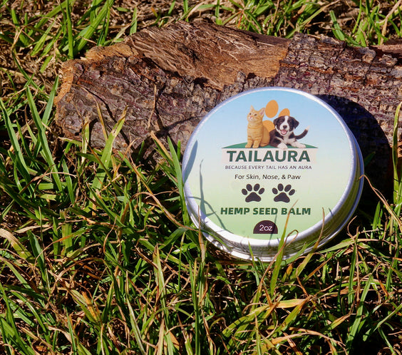 TailAura™ Restorative Hemp Seed Balm for Pets – Paw, Nose & Skin Therapy (56.7g) - TailAura -  -  TailAura
