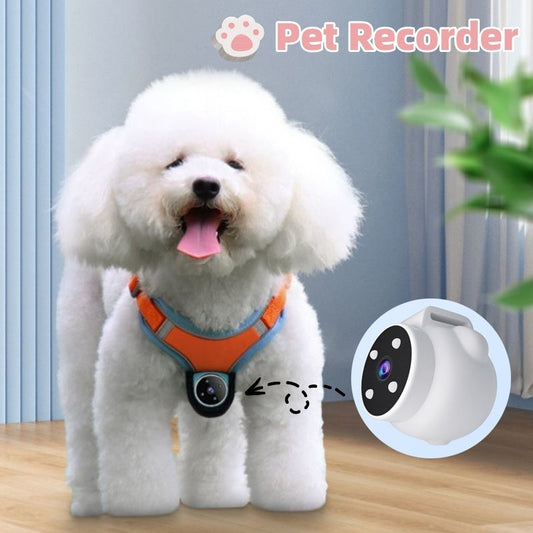 Pet Recorder & GPS Tracker Collar - Unleash Their World
