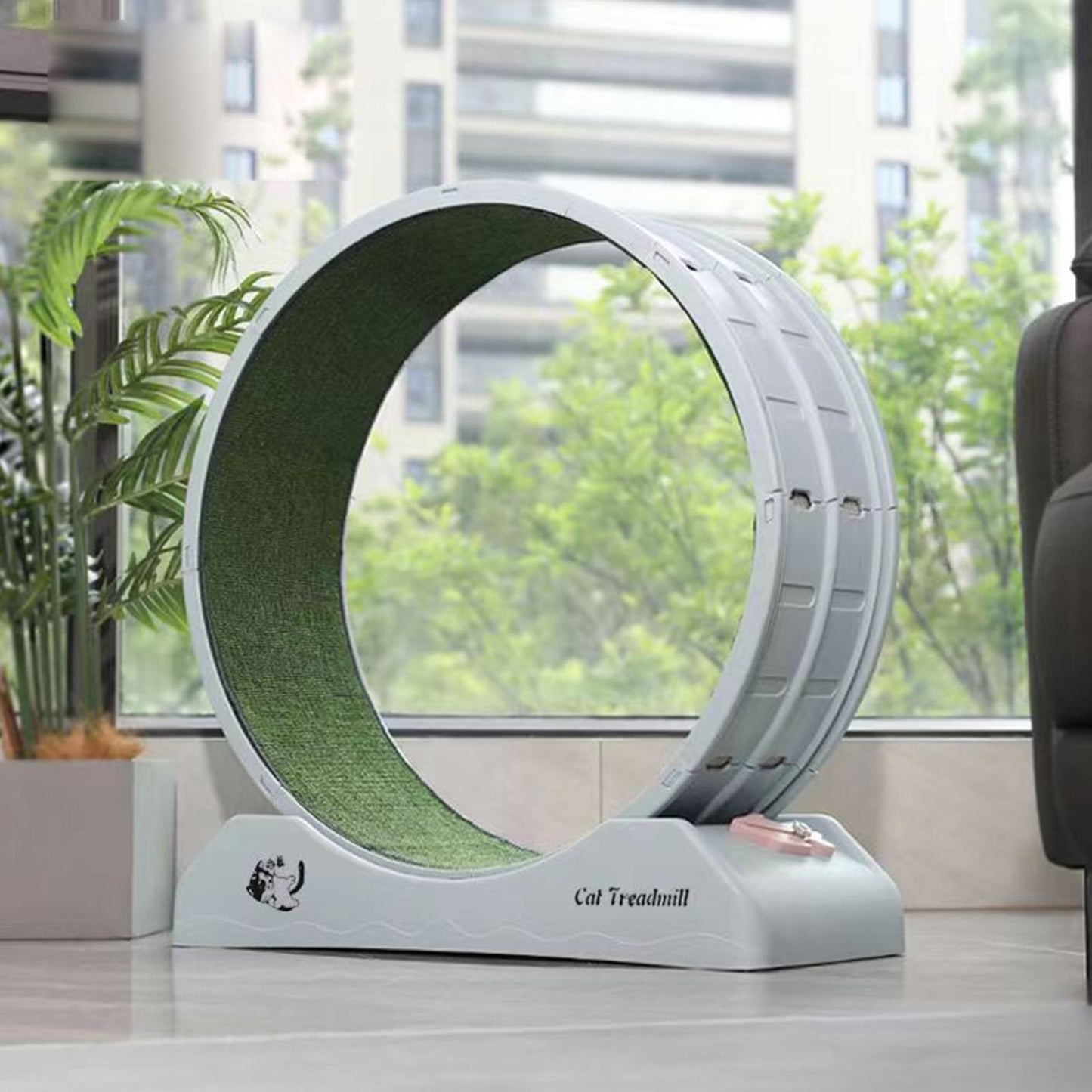 Silent Cat Exercise Wheel – XL Non-Electric Indoor Treadmill - TailAura