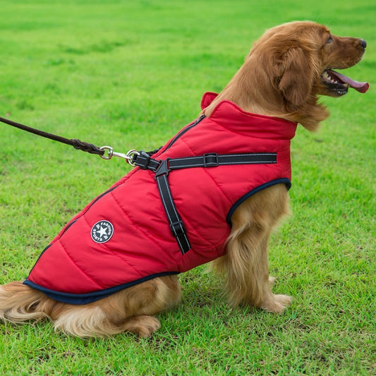 Cotton Dog Clothes Chest Back Integrated Vest – Waterproof, Washable, Comfortable for All Breeds - TailAura
