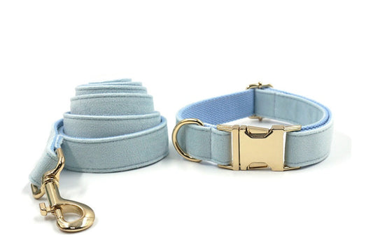 Sky Blue Velvet Gold Collar & Leash Set – Stylish Pet Collar with Matching Leash for Small to Large Dogs - TailAura