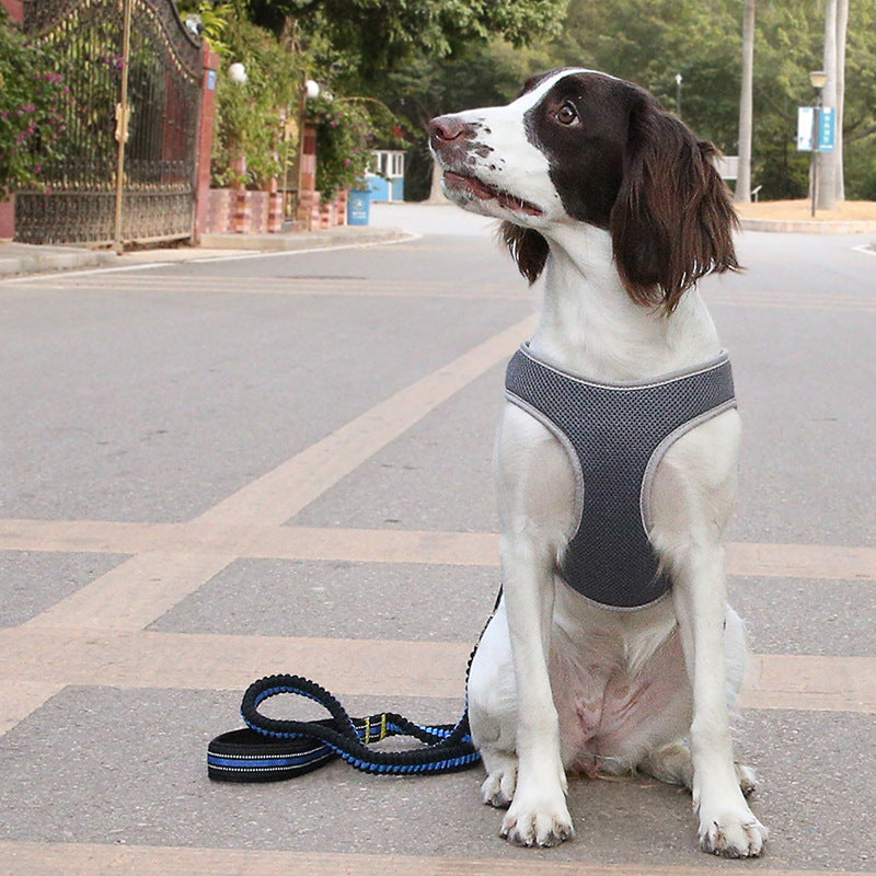 Adjustable Dog Vest Harness – No-Pull Chest Strap for Small to Large Breeds, Secure Fit for Active Dogs - TailAura