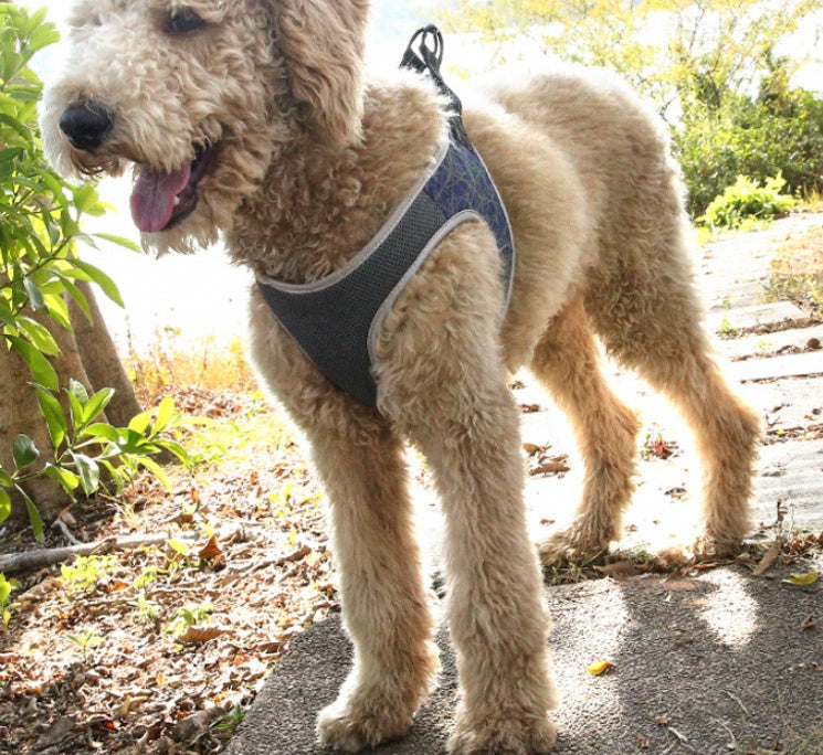 Adjustable Dog Vest Harness – No-Pull Chest Strap for Small to Large Breeds, Secure Fit for Active Dogs - TailAura