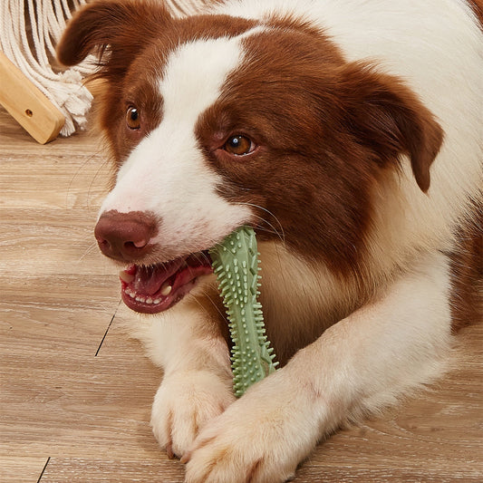 Hexagonal TPR Chew Toy – Teeth-Cleaning Molar Toy for Puppies - TailAura