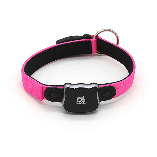 Pet Location Finder Collar with Real-Time GPS Tracking - TailAura