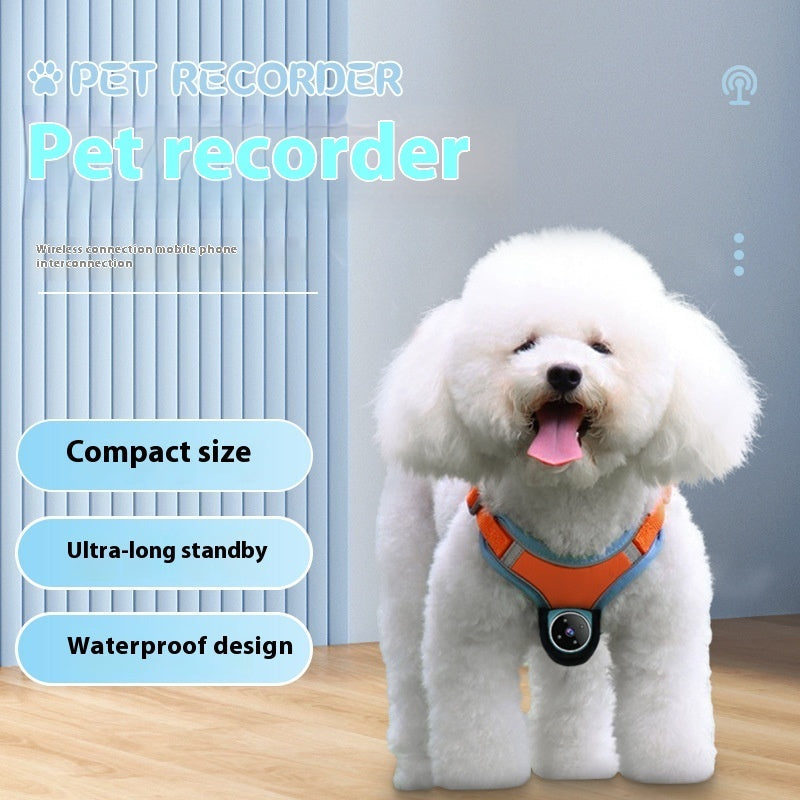 Pet Recorder & GPS Tracker Collar - Unleash Their World - TailAura