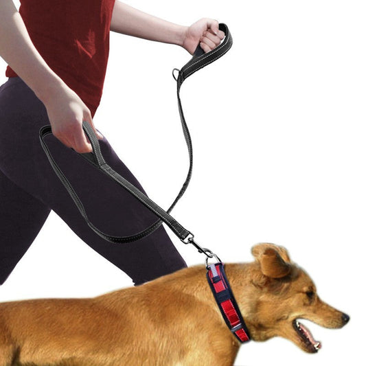 Pet Double Handle Pull Leash with Reflective Strip – Durable Nylon Leash with Metal Buckle and Extra Traction Options - TailAura